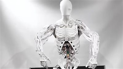 أطباء صينيون ينقذون مريضًا تعرض لانفصال كامل بالفقرات العنقية بعد هجوم روبوت