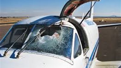 إوزة تخترق الزجاج الأمامي لطائرة بوينج 