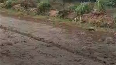 سقوط أمطار غزيرة على بعض مراكز ومدن المنوفية