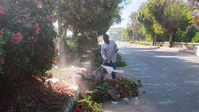 محافظ أسوان: استكمال تكثيف جهود النظافة ورفع الإشغالات بمختلف المدن