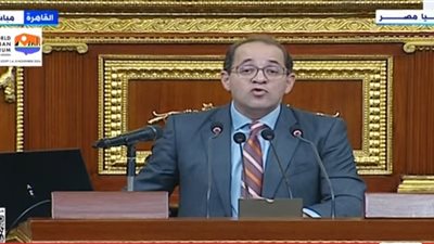 وزير المالية لـ النواب: نستهدف خفض المديونية الحكومية داخليا وخارجيا