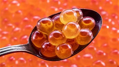 تفسير رؤية بيض السمك في المنام