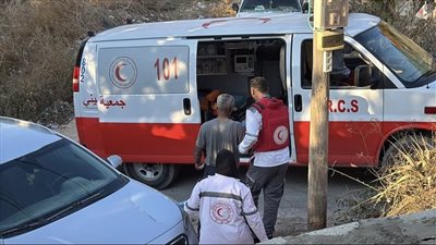 هاجمه كلب تابع لجيش الاحتلال.. إصابة صغير فلسطيني عمره 3 أعوام في جنين