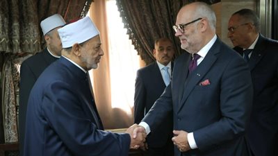 شيخ الأزهر لرئيس إستونيا: ما يحدث في غزة لا يمكن تخيله ولا وصفه