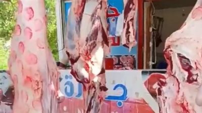 تصل لـ 50%.. تخفيضات على أسعار السلع في منافذ الزراعة وكيلو اللحوم بـ 280 جنيهًا| بث مباشر 