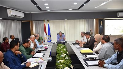 محافظ أسوان يوجه بالإسراع في تنفيذ مشروع صرف صحي الرديسية