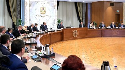 رؤساء اللجان بمجلس النواب لرئيس الوزراء: يجب محاسبة الاتحادات الرياضية بعد الإخفاق بالألعاب الأوليمبية