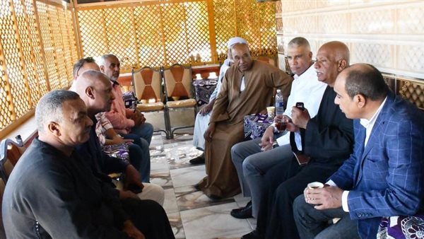 محافظ أسوان