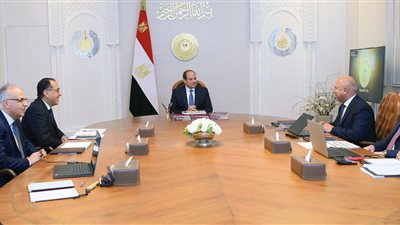 السيسي يطلع على مستجدات العمل التنفيذي في عدد من الملفات التنموية