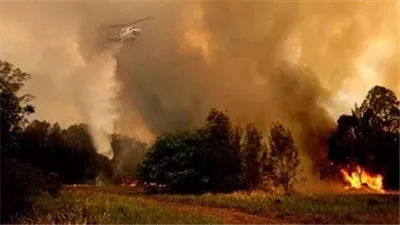 فرق الإطفاء تواصل مكافحة حرائق الغابات في نيوجيرسي