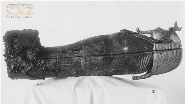  سلبية زجاجية للتابوت