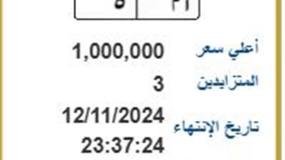 أم 5.. 3 أشخاص يتزايدون على شراء لوحة مرور مميزة في مصر بسعر مليون جنيه