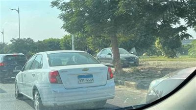 دهس طالب بكلية طب على يد سائق متهور بالعبور| صور