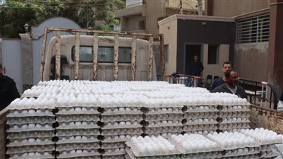 فاروق: هوامش الربح في صناعة بيض المائدة مبالغ فيها وكان علينا مواجهتها 