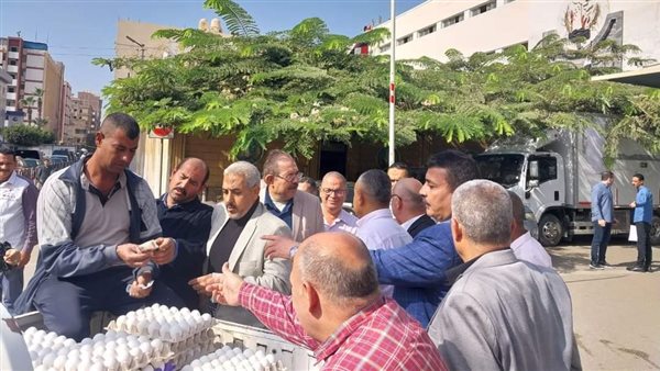 طرح البيض بسعر 150جنيه