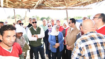 محافظ الفيوم يشهد مزادًا لبيع السمك والجمبري على ساحل بحيرة قارون