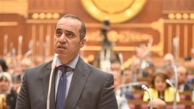 محمود فوزي: 75 % من توصيات الحوار الوطني تم تنفيذها.. والمتبقي قد يحتاج إلى تعديل تشريعي