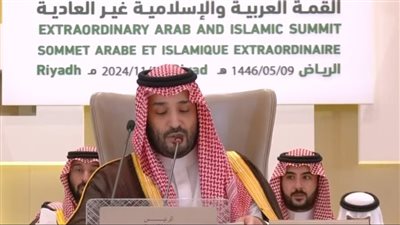 قمة الرياض 2024| بن سلمان: نؤكد مركزية القضية.. ونجحنا في حشد مزيد من الدول للاعتراف بدولة فلسطين