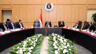 دايس للملابس ومجموعة ميروليو القابضة تطلبان التعاون مع بعض مصانع قطاع الأعمال 