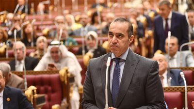 وزير الشئون النيابية: تعديلات قانوني السفن البحرية والتجارة هدفها تعزيز حجم الأسطول البحري التجاري 