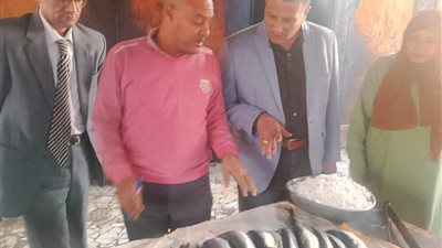 ضبط 10 أطنان أسماك وملح غير صالحة للاستهلاك الآدمي بالمنوفية