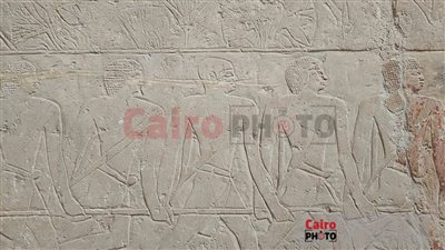 بعد واقعة مقبرة مريروكا.. نقل 5 أثريين و2 من مسؤولي أمن المنطقة الأثرية خارج سقارة| خاص