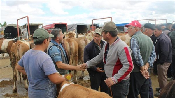  صورة تعبيرية 