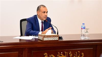 وزير الخارجية: التهجير لن يحدث.. مسؤولية مصر تشجيع أهل غزة على التمسك بوطنهم