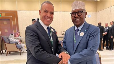 بدر عبد العاطي يلتقي مع وزير خارجية الصومال في الرياض