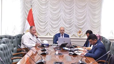 وزير العمل يوجه مكاتب التمثيل العمالي بالخارج لتوفير وظائف للشباب المصري