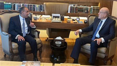 وزير الخارجية يلتقي رئيس الحكومة اللبنانية ويؤكد دعم مصر الكامل للبنان