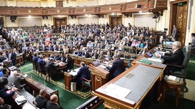 وزير التعليم العالي لـ النواب: الدكتوراه المهنية ليست خطأ ولكن المشكلة في التطبيق