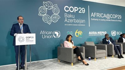 وزير المالية: التعامل مع التحديات المناخية يتطلب تضافر الجهود الدولية 