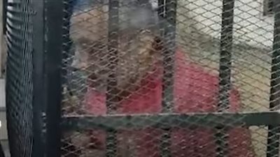 للمرة الثانية.. إحالة أوراق المتهم بقتل جواهرجي بولاق أبو العلا للمفتي | بث مباشر