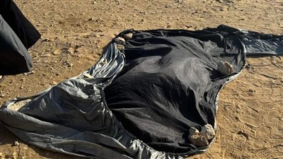 بالأسماء مصرع شخصين وإصابة 4 آخرين من أسرة واحدة في الوادي الجديد| صور