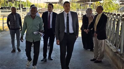 مخالفات مالية وإدارية بمصنع الألبان بالمعنا في قنا.. والنيابة الإدارية تفتح تحقيقا عاجلا