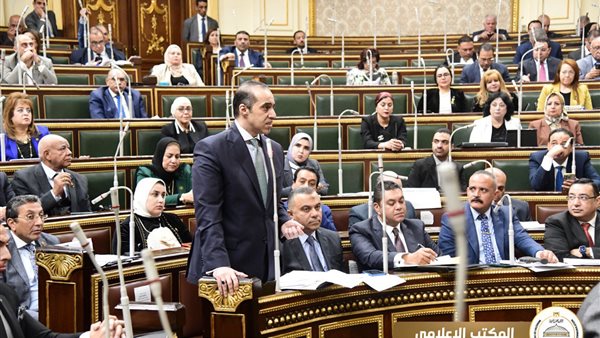 المستشار محمود فوزي