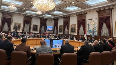 محافظ القاهرة: أصدرنا قرارًا بعدم قطع الأشجار والعمل على تطويرها