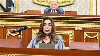 وزيرة التنمية المحلية: 31.3 مليار جنيه لتنفيذ مشروعات ضمن استثمارات دواوين المحافظات العام المالي الحالي