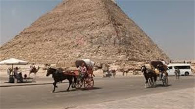 زيادة أجر المرشد السياحي إلى 1800 جنيه لليوم الكامل بدءًا من أكتوبر