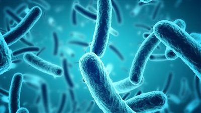 بعد وفاة 3 أطفال في إنجلترا.. خبراء الصحة يحذرون من البكتيريا العصية الشمعية 