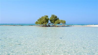 شرم اللولي.. أجمل شواطئ الشرق الأوسط بمرسى علم| صور