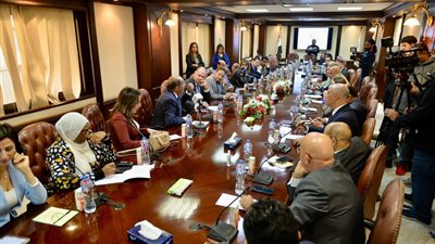 الأعلى للإعلام: إطلاق حملة «امسك مزيف» لمواجهة الشائعات ومواجهة الكتائب الإلكترونية