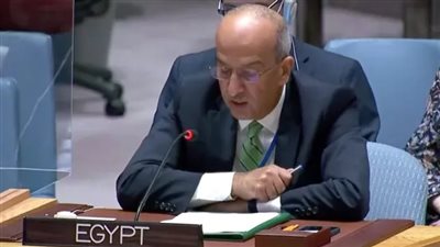 مندوب مصر بمجلس الأمن: عمليات إسرائيل في غزة تهدد السلام القائم منذ 5 عقود