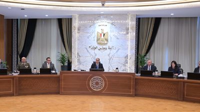 الحبس سنة وغرامة تصل لـ مليون جنيه.. الحكومة توافق على تعديل قانون الكهرباء