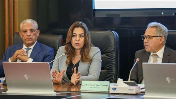 وزيرة التنمية المحلية