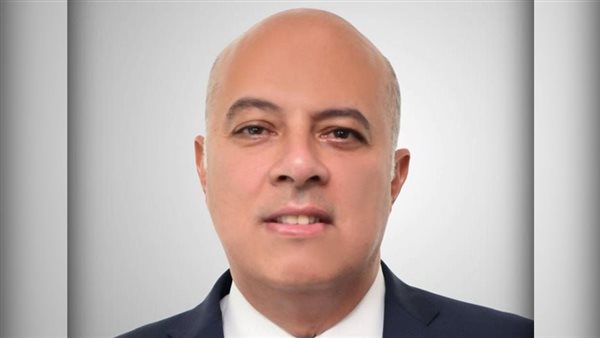 السفير محمد الشناوى