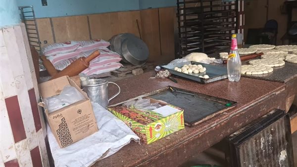 جانب من الحملات 