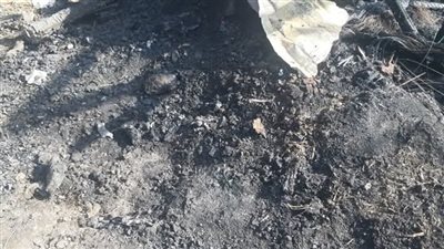 نفوق 9 رؤوس أغنام في حريق حظيرة مواشي بالمنوفية