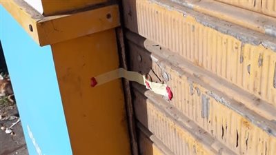 غلق وتشميع 147 منشأة مخالفة في حملات بأحياء الإسكندرية